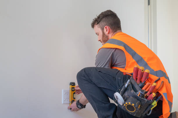 Best Electric Panel Repair  in Wyldwood, TX